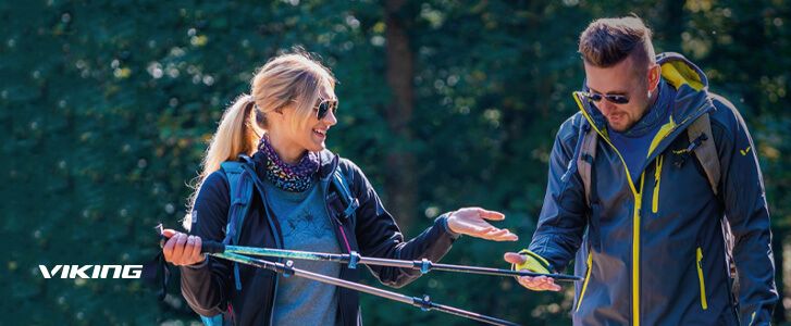 Viking Viking